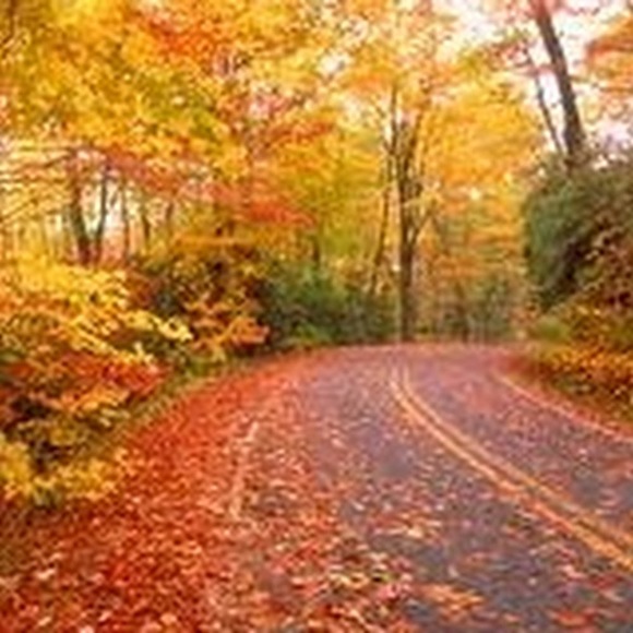 Meet your Posher, Kerry - Picture 13 of 16